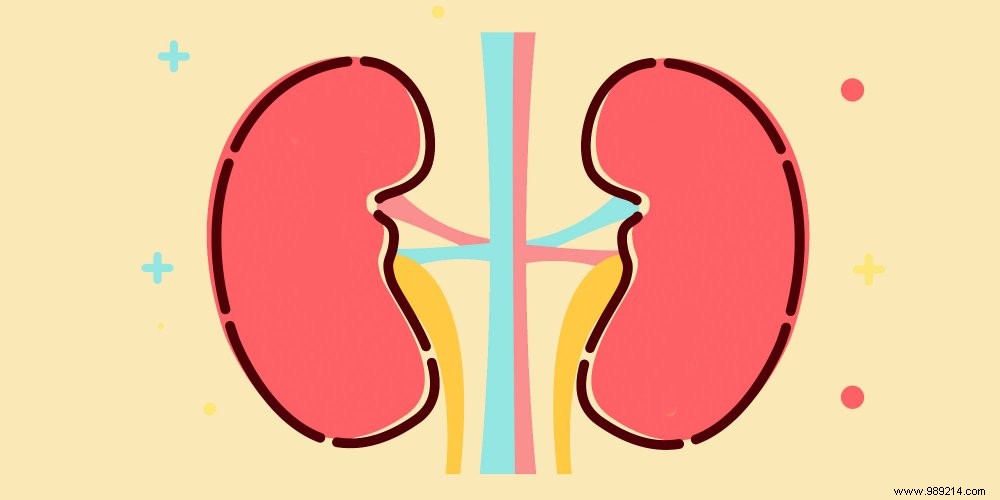 How to take care of your kidneys? 