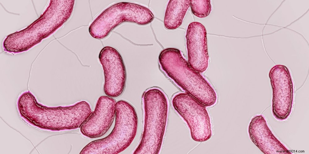 Antibiotic resistance:are we in danger? 