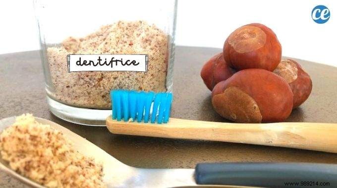Make Your Own Whitening Toothpaste With Chestnuts (Free &Easy). 
