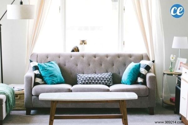 10 Tips To Arrange Your Furniture Like A Pro At Home. 