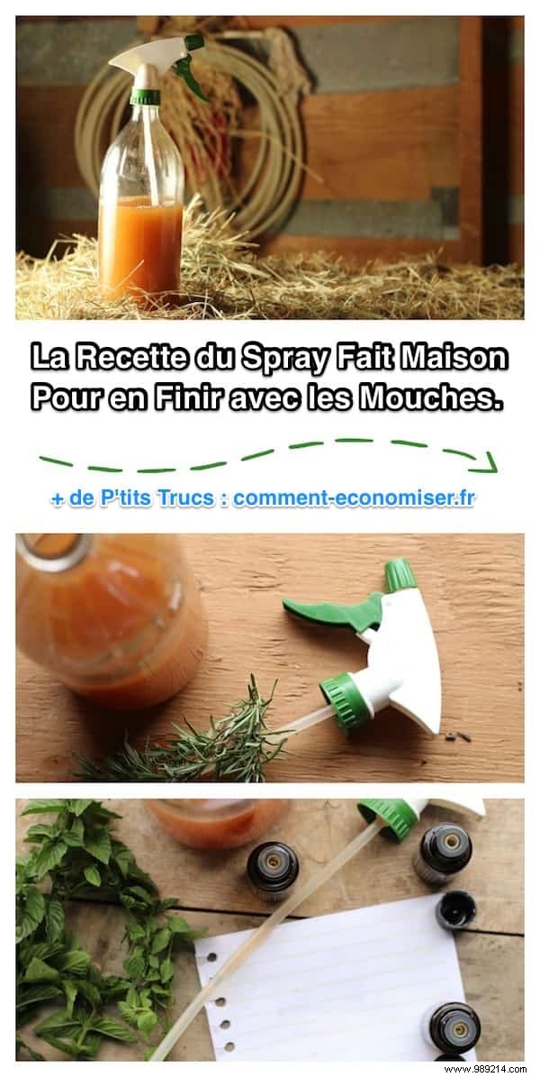 The Homemade Spray TO END Flies. 