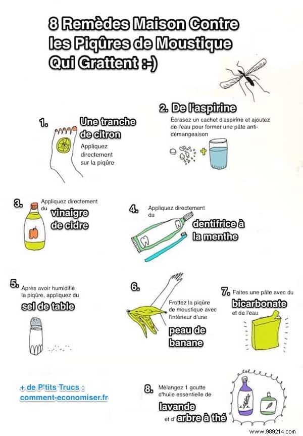 8 Home Remedies For Itchy Mosquito Bites. 
