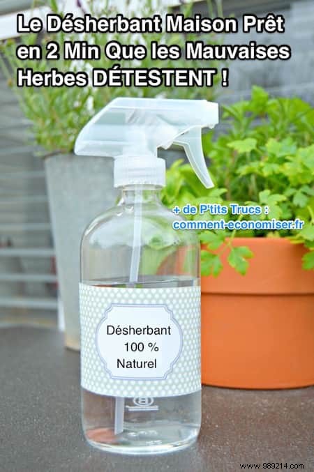 The 2-Minute Homemade Weed Killer That Weeds HATE! 