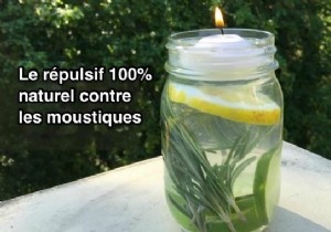 The 100% Natural Repellent, Effective Against Mosquitoes. 