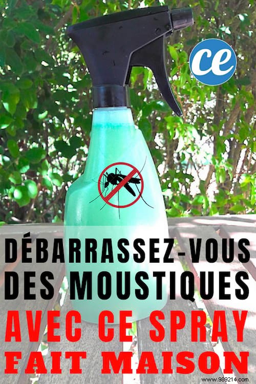 Get Rid Of Mosquitoes In The Garden With This Homemade Spray. 