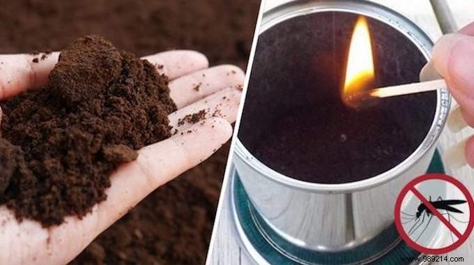 Get Rid of Mosquitoes By Burning Coffee Grounds. Here s how ! 