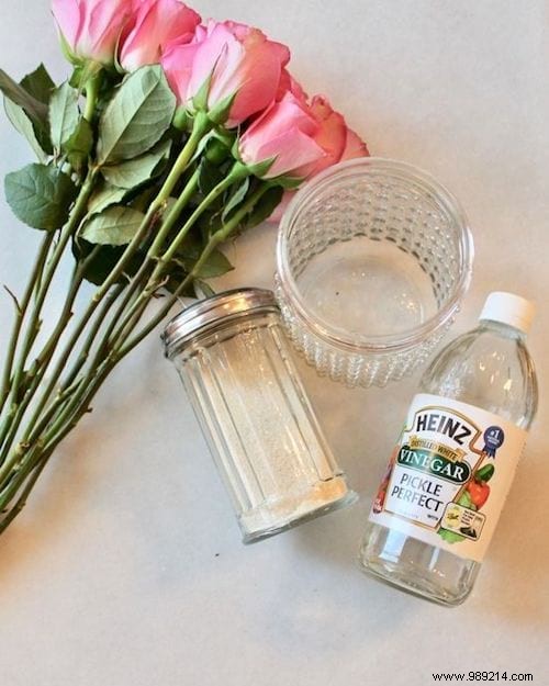 10 Amazing Uses of White Vinegar IN THE GARDEN. 