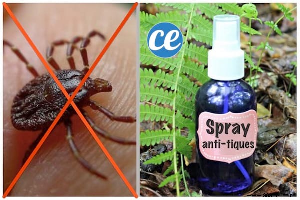 Finally, a natural repellent against ticks with formidable effectiveness. 
