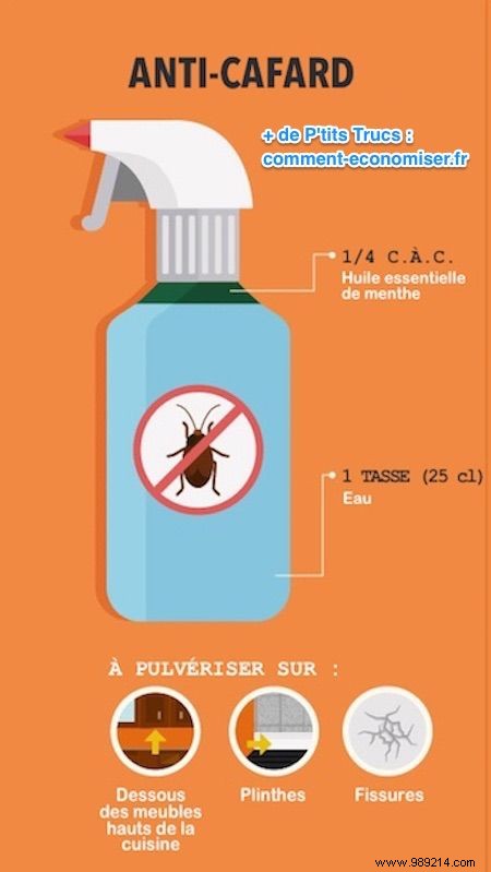 7 Natural Insect Repellents with Fearsome Effectiveness. 
