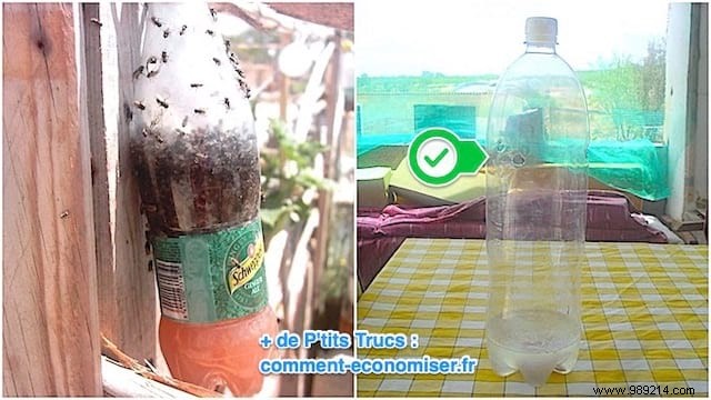 How To Make A Super Effective Bottle Fly Trap. 