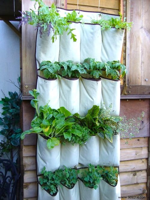 18 Gardening Tips That Will Simplify Your Life. 