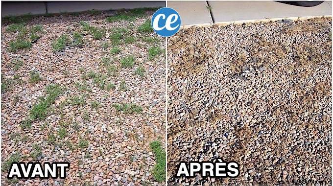 How To Eliminate Weeds Growing In Gravel. 