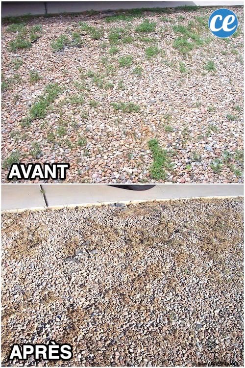 How To Eliminate Weeds Growing In Gravel. 