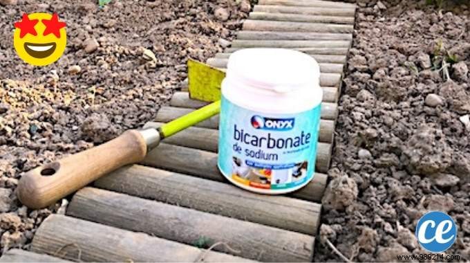 Vegetable Garden:3 Uses Of Bicarbonate That Will Simplify Your Life. 