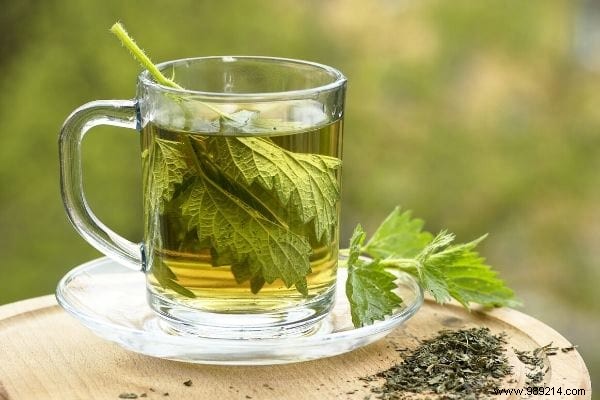 The 10 Uses of Nettle Everyone Should Know. 