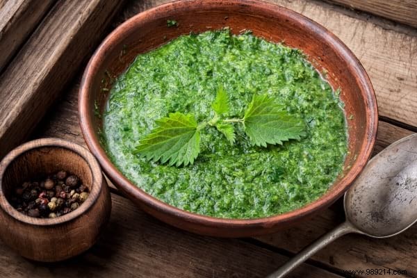 The 10 Uses of Nettle Everyone Should Know. 