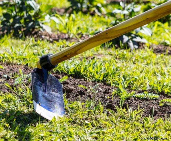 23 gardening tips to save tons of water in the garden. 