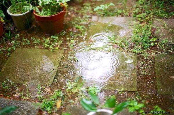 23 gardening tips to save tons of water in the garden. 