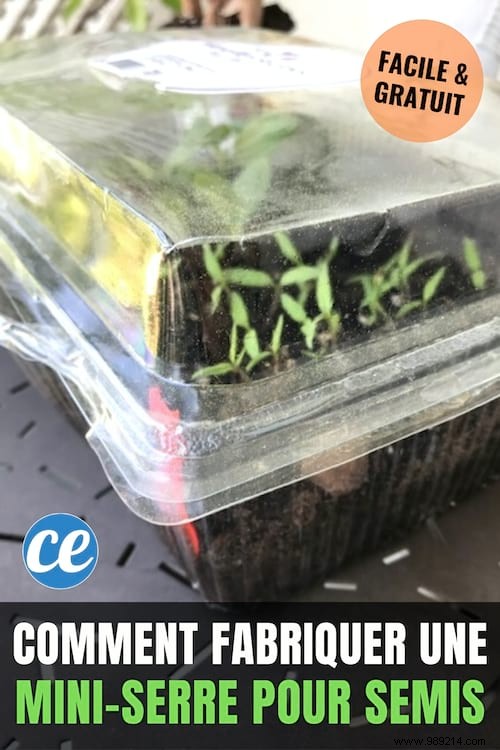 How To Make A Mini Greenhouse For Seedlings FREE. 