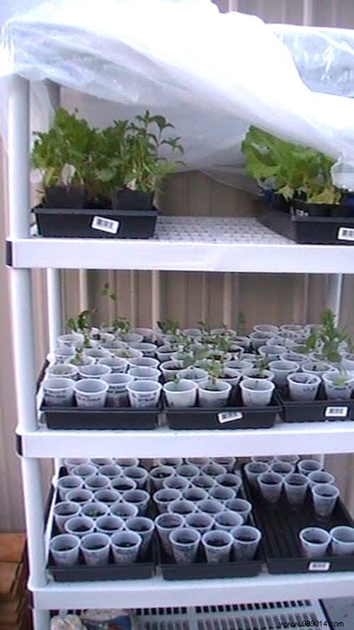 10 Super Easy Ideas To Make A Mini Greenhouse For FREE. 