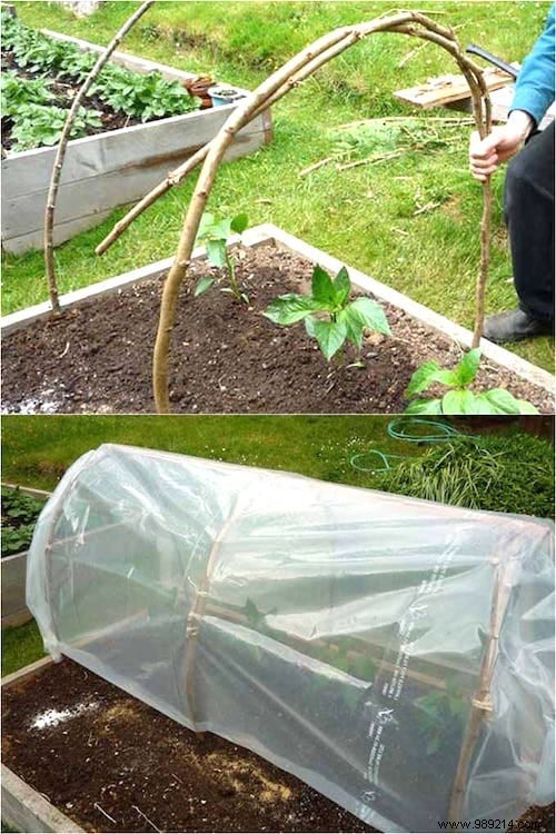 10 Super Easy Ideas To Make A Mini Greenhouse For FREE. 