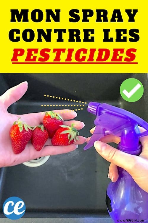 Strawberries, Apples, Tomatoes... My Spray Which Removes Pesticides from Fruits and Vegetables. 