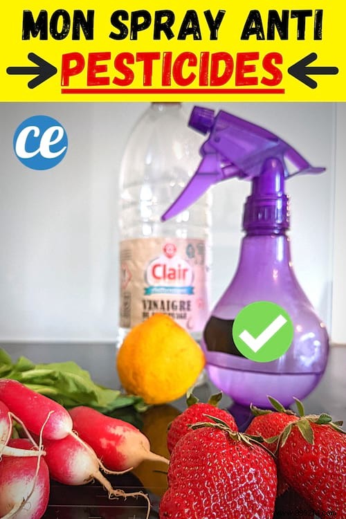 Strawberries, Apples, Tomatoes... My Spray Which Removes Pesticides from Fruits and Vegetables. 
