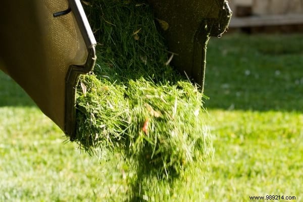 10 Frighteningly EFFECTIVE Natural and Free Fertilizers. 