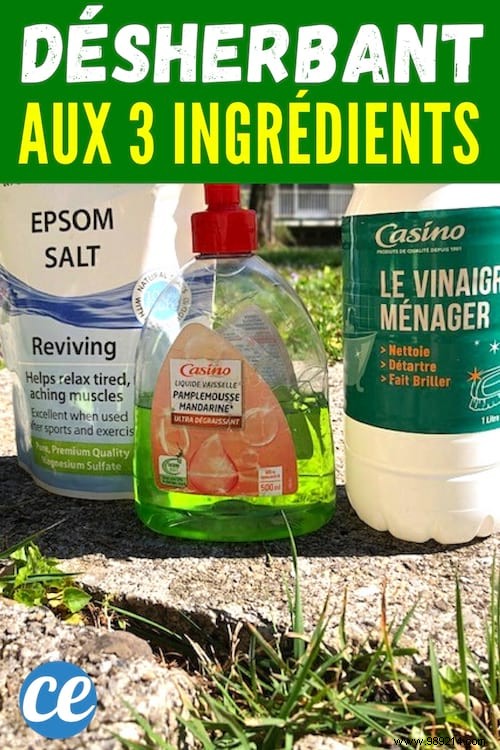 The 3 Ingredient Weed Killer - Ideal For Paved Driveways! 