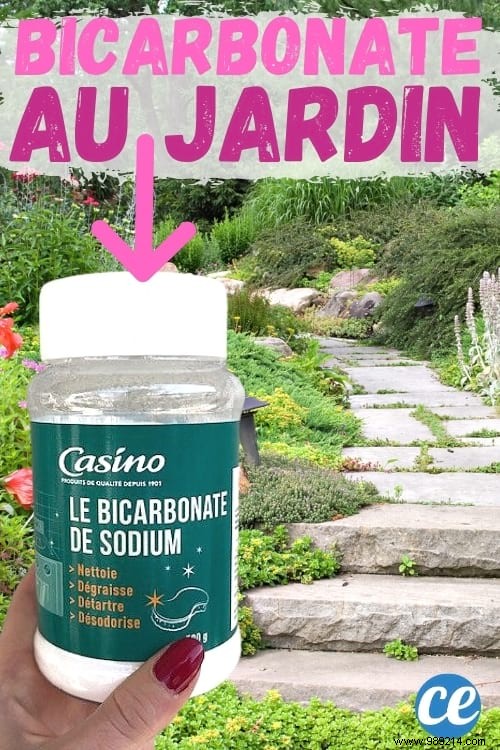 If You Use Baking Soda In The Garden, These 19 Miracles Will Happen. 