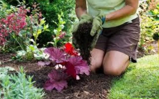 9 Gardener Secrets to Reduce Watering by 50%! 
