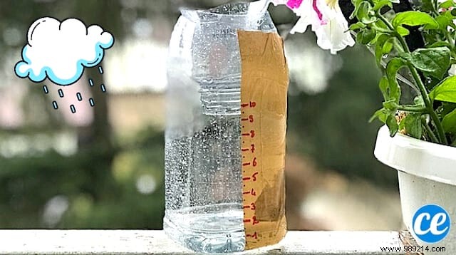 How to Make a Rain Gauge (&Save Lots of Water in the Garden). 