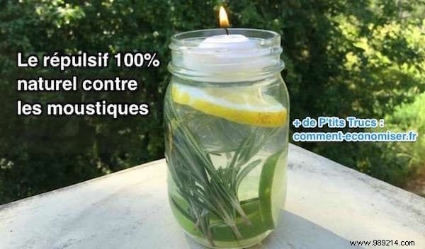 3 REALLY Effective Mosquito Repellent Candle Recipes. 