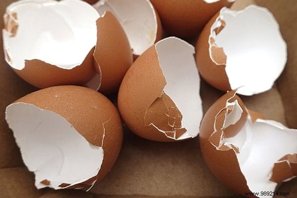 15 Good Reasons to Never Throw Away Your Eggshells Again. 