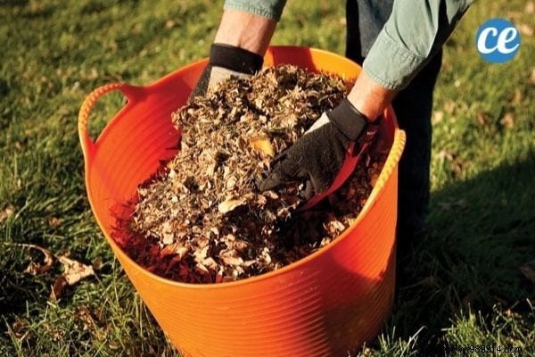What is mulching used for and which one to choose for your garden and vegetable patch? 