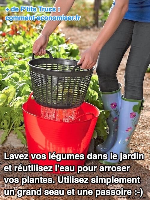 Wash Your Vegetables In The Garden And Reuse The Water To Water Your Plants. 