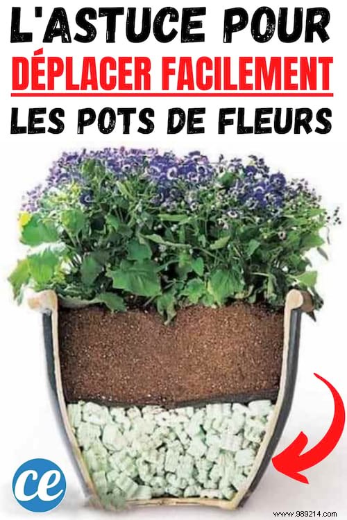 The Tip To Move Too Heavy Flower Pots Easily. 
