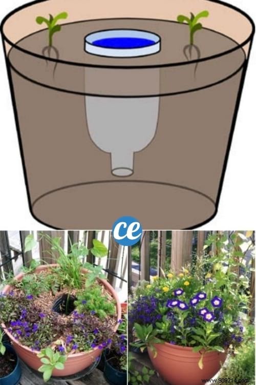 How to Make a Plant Water Reservoir with 1 Plastic Bottle. 