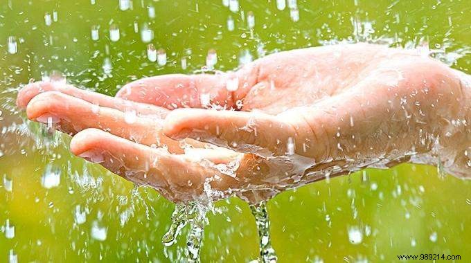 8 Uses of Rainwater (To Save On Your Water Bill). 