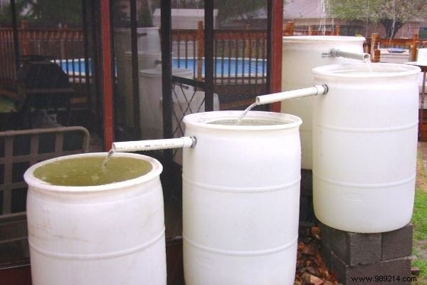8 Uses of Rainwater (To Save On Your Water Bill). 