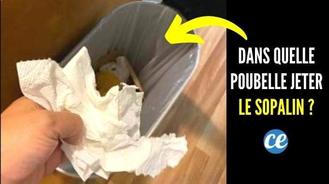 In Which Bin Should You (Really) Throw Paper Towels? 