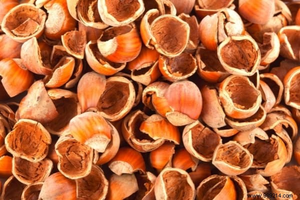 What to do with Walnut and Hazelnut Shells? 7 Amazing Uses. 