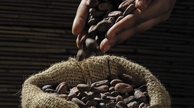 Storing Cocoa:Our Tip for Keeping it Long. 