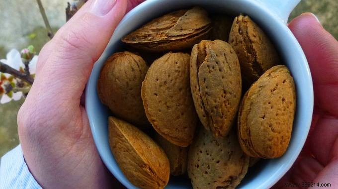 The Simple Trick To Store Almonds Longer. 