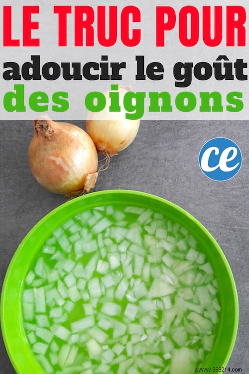 How To Easily Reduce The Taste Of Onions In Your Salad? 