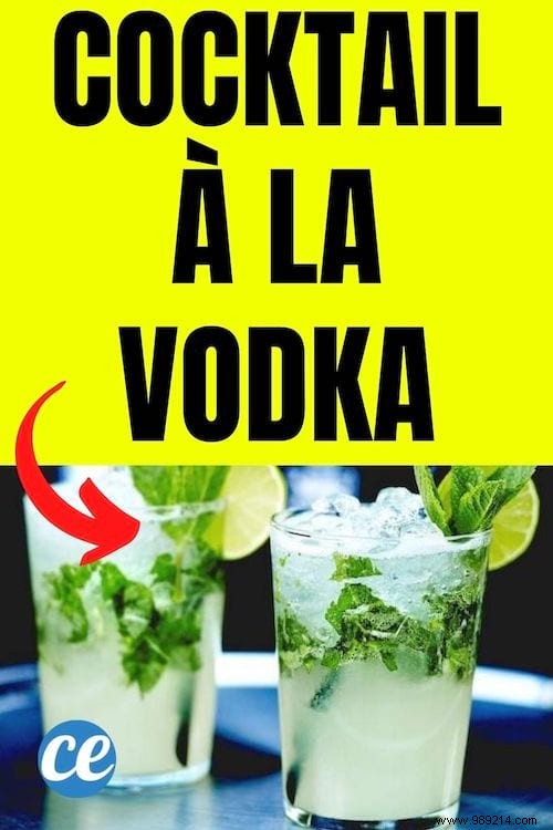 A Really Cheap and Easy to Make Vodka Cocktail. 