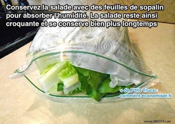 The Awesome Tip To Keep Salad In The Fridge Longer. 