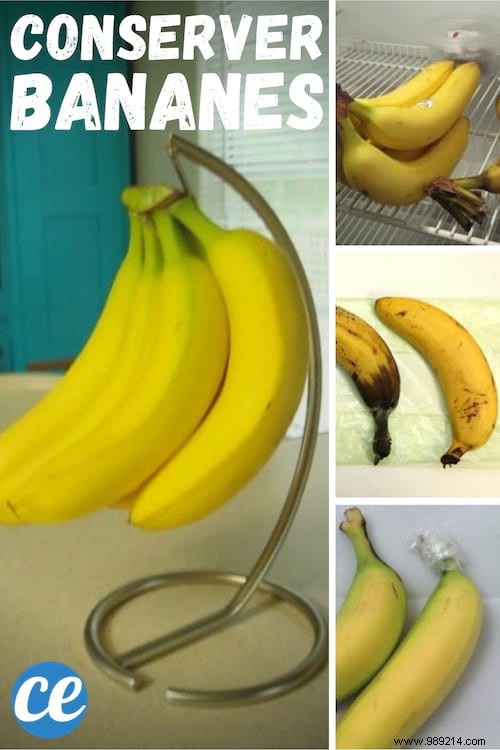 Storing Bananas:How to Store Them Longer? 