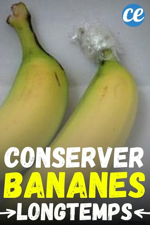 Storing Bananas:How to Store Them Longer? 