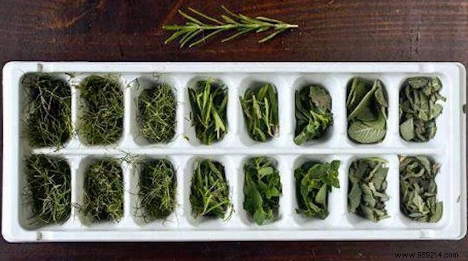 Finally a Tip to Keep Herbs Fresh Forever. 